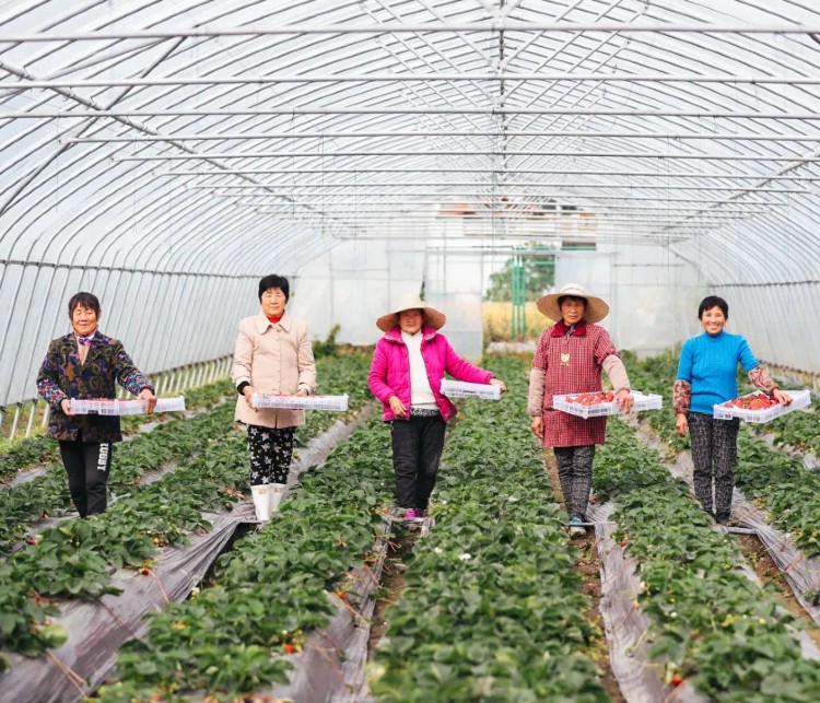 43ea2c085e283022acd943bb26dd12d7