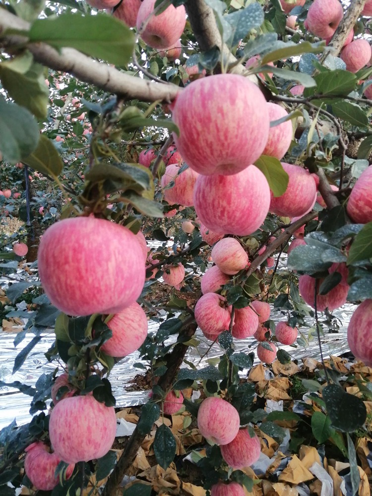 40001百老汇·(电子游戏)集团公司