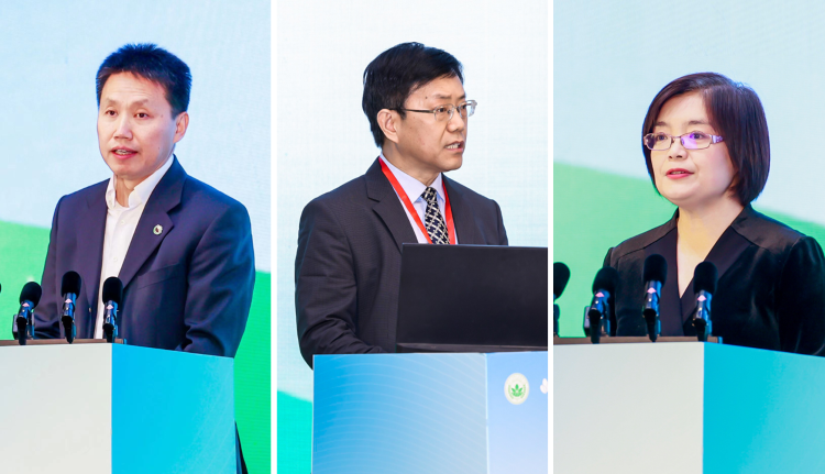 40001百老汇·(电子游戏)集团公司