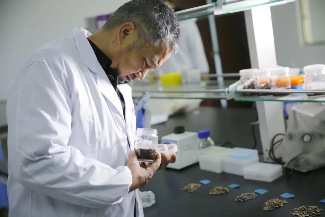 40001百老汇·(电子游戏)集团公司