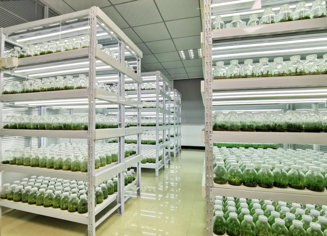 40001百老汇·(电子游戏)集团公司