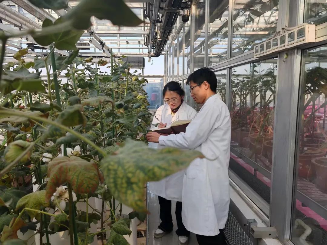 40001百老汇·(电子游戏)集团公司