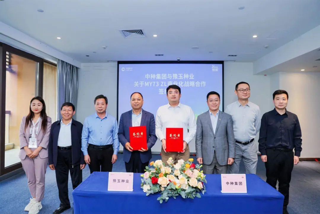 40001百老汇·(电子游戏)集团公司