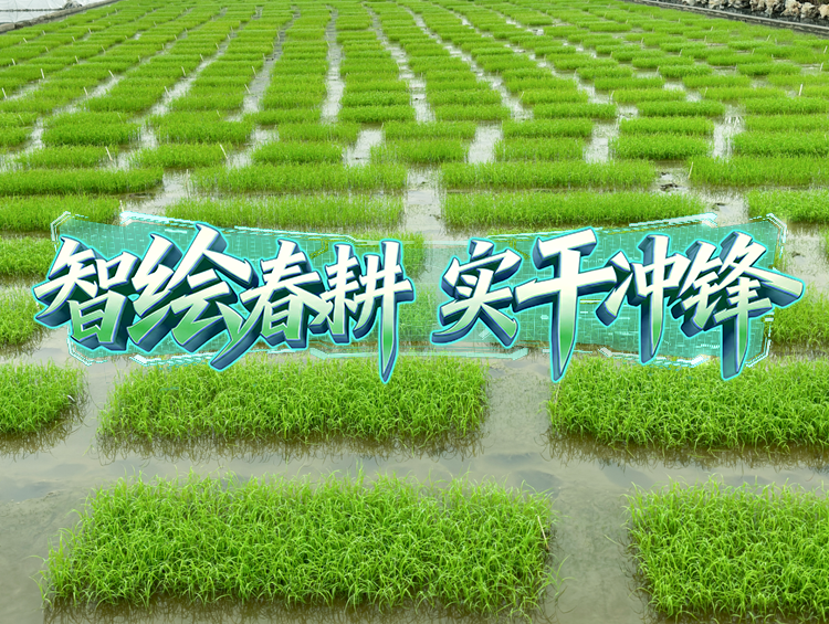 良种添动力，开启春耕“种”带头