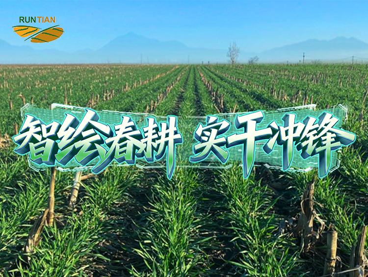 “润田”六年：让泥土“活”起来，让产量“提”上去