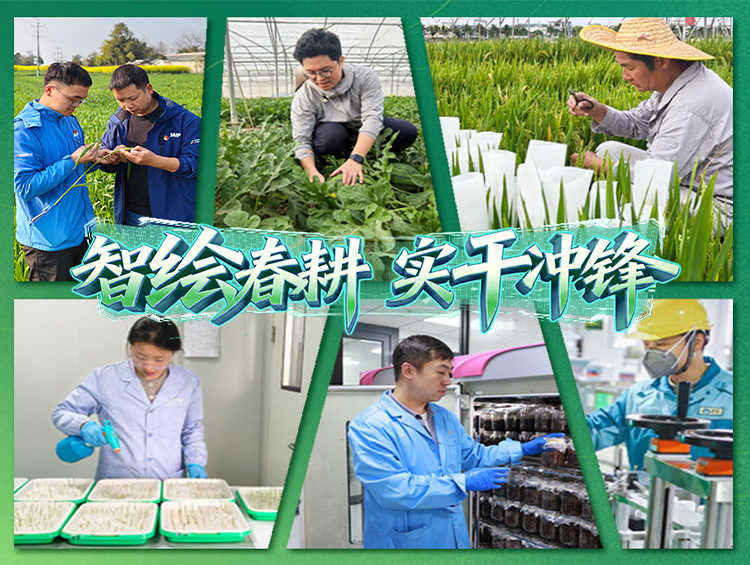 智绘春耕 | 以春为序，以耕作答，写下40001百老汇“春耕日志”