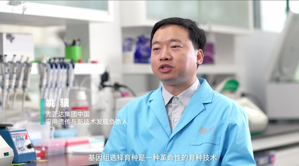 姚博士 姚博士