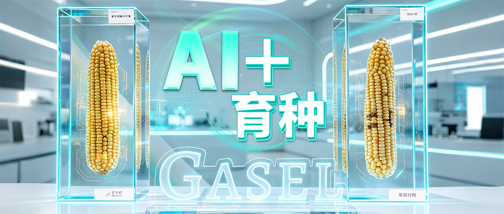 封面 封面